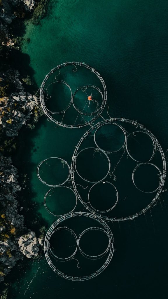 floating-fish-farms-on-water-13693969